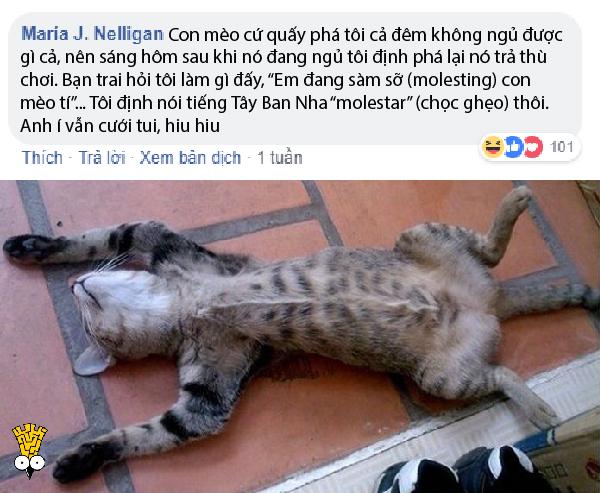 Những lần 'vạ miệng' khi nói ngoại ngữ khiến bạn xấu hổ không biết giấu mặt vào đâu Những lần 'vạ miệng' khi nói ngoại ngữ khiến bạn xấu hổ không biết giấu mặt vào đâu