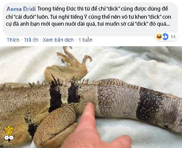 Những lần 'vạ miệng' khi nói ngoại ngữ khiến bạn xấu hổ không biết giấu mặt vào đâu Những lần 'vạ miệng' khi nói ngoại ngữ khiến bạn xấu hổ không biết giấu mặt vào đâu