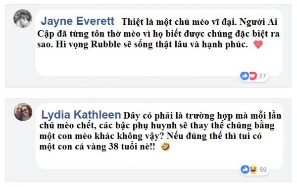 Chú mèo Anh trở thành vị 'boss' già nhất thế giới sau khi tổ chức 'mừng thọ' lần thứ 30 Chú mèo Anh trở thành vị 'boss' già nhất thế giới sau khi tổ chức 'mừng thọ' lần thứ 30