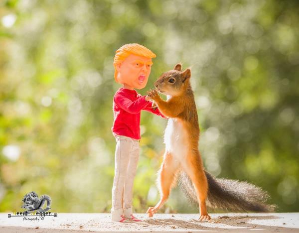 Dành hơn nửa thập kỷ làm 'phó nháy' miễn phí cho sóc đỏ, người đàn ông thu về thành quả bất ngờ Dành hơn nửa thập kỷ làm 'phó nháy' miễn phí cho sóc đỏ, người đàn ông thu về thành quả bất ngờ