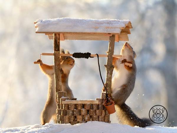 Dành hơn nửa thập kỷ làm 'phó nháy' miễn phí cho sóc đỏ, người đàn ông thu về thành quả bất ngờ Dành hơn nửa thập kỷ làm 'phó nháy' miễn phí cho sóc đỏ, người đàn ông thu về thành quả bất ngờ