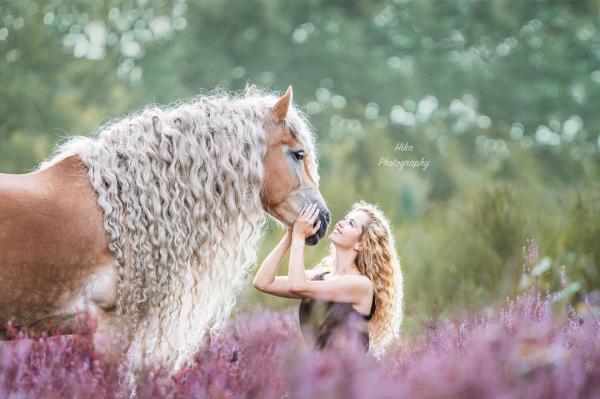 Ngắm nhìn nàng ngựa sở hữu mái tóc đẹp quý phái như Rapunzel Ngắm nhìn nàng ngựa sở hữu mái tóc đẹp quý phái như Rapunzel