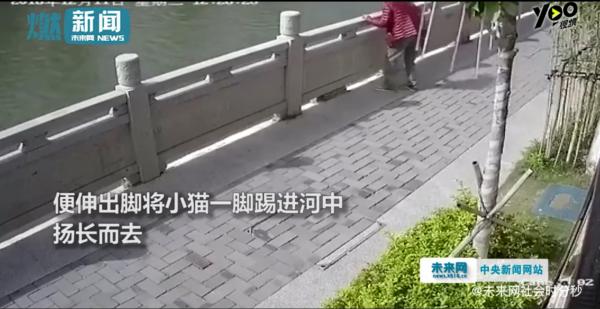 'Ngứa chân' đá chú mèo đang sưởi nắng xuống sông, gã đàn ông bị cư dân mạng lên án kịch liệt 'Ngứa chân' đá chú mèo đang sưởi nắng xuống sông, gã đàn ông bị cư dân mạng lên án kịch liệt