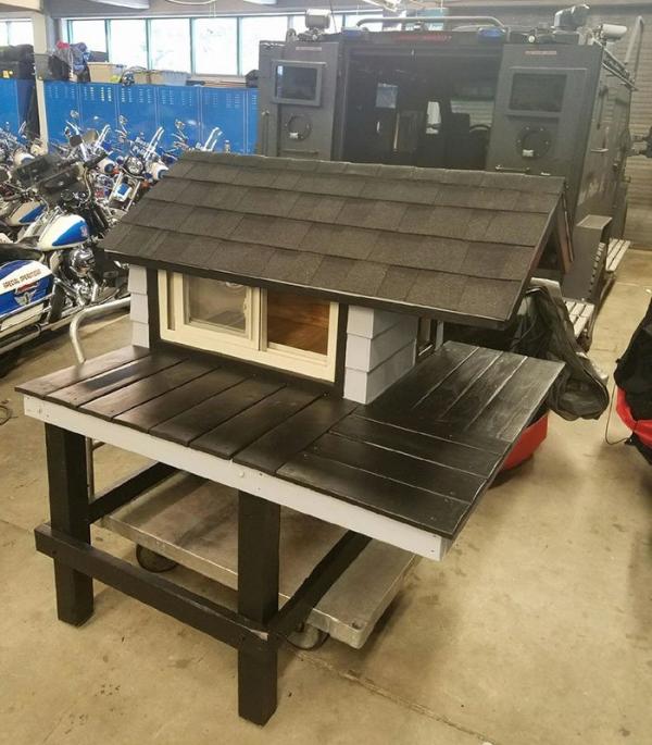 Chăm chỉ ghé thăm sở cảnh sát, chú mèo này được cấp luôn một căn nhà ấm cúng Chăm chỉ ghé thăm sở cảnh sát, chú mèo này được cấp luôn một căn nhà ấm cúng