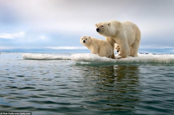 Những bức ảnh đoạt giải 'Travel Photographer of the Year': Đây là một thế giới mà ta chưa từng biết Những bức ảnh đoạt giải 'Travel Photographer of the Year': Đây là một thế giới mà ta chưa từng biết