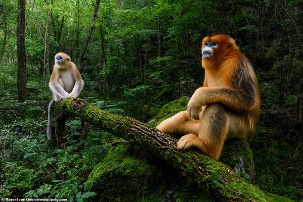 Những bức ảnh đoạt giải 'Travel Photographer of the Year': Đây là một thế giới mà ta chưa từng biết Những bức ảnh đoạt giải 'Travel Photographer of the Year': Đây là một thế giới mà ta chưa từng biết