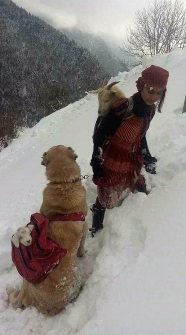 Hãy thắp sáng trái tim bé nhỏ của bạn bằng những hình ảnh ấm áp này Hãy thắp sáng trái tim bé nhỏ của bạn bằng những hình ảnh ấm áp này