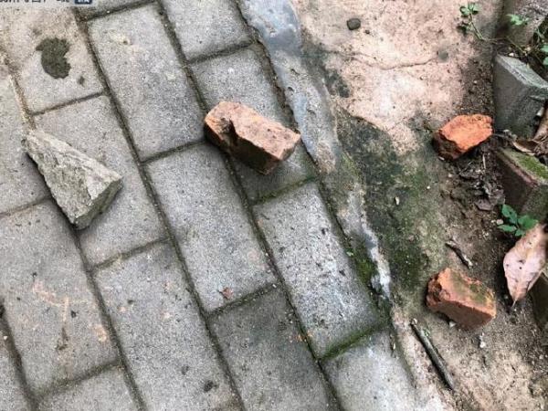 Chú chuột túi bị du khách Trung Quốc ném gạch đến chết vì không chịu chạy nhảy hay làm trò vui Chú chuột túi bị du khách Trung Quốc ném gạch đến chết vì không chịu chạy nhảy hay làm trò vui
