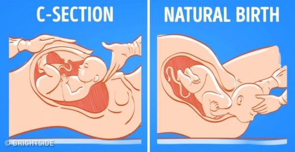 13 hiểu lầm quanh chuyện 'bầu bí': Không được nuôi mèo, bia rượu thì vô tư 13 hiểu lầm quanh chuyện 'bầu bí': Không được nuôi mèo, bia rượu thì vô tư