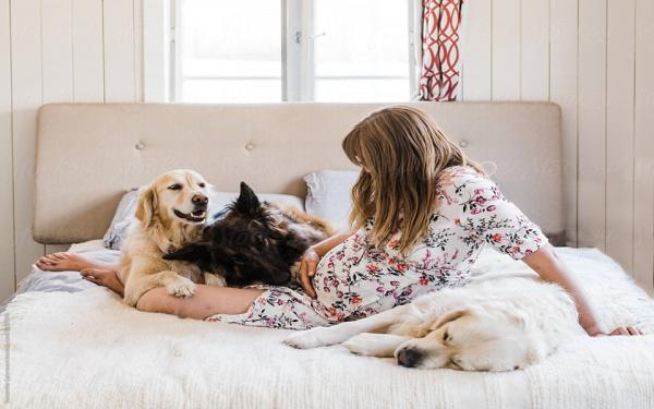 13 hiểu lầm quanh chuyện 'bầu bí': Không được nuôi mèo, bia rượu thì vô tư 13 hiểu lầm quanh chuyện 'bầu bí': Không được nuôi mèo, bia rượu thì vô tư