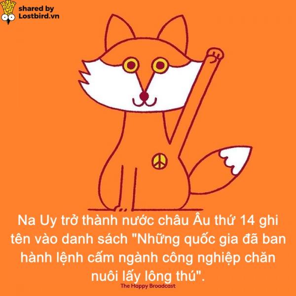Dành cho những ai đã chán ngấy scandal, đây là những tin vui đáng đọc nhất của năm 2018 (P1) Dành cho những ai đã chán ngấy scandal, đây là những tin vui đáng đọc nhất của năm 2018 (P1)