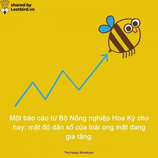 Dành cho những ai đã chán ngấy scandal, đây là những tin vui đáng đọc nhất của năm 2018 (P1) Dành cho những ai đã chán ngấy scandal, đây là những tin vui đáng đọc nhất của năm 2018 (P1)
