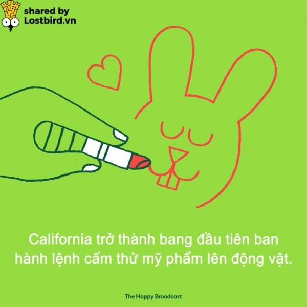 Dành cho những ai đã chán ngấy scandal, đây là những tin vui đáng đọc nhất của năm 2018 (P1) Dành cho những ai đã chán ngấy scandal, đây là những tin vui đáng đọc nhất của năm 2018 (P1)