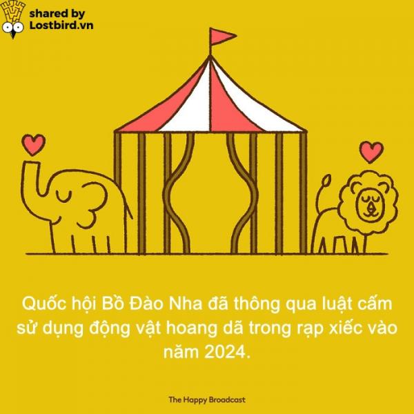Dành cho những ai đã chán ngấy scandal, đây là những tin vui đáng đọc nhất của năm 2018 (P1) Dành cho những ai đã chán ngấy scandal, đây là những tin vui đáng đọc nhất của năm 2018 (P1)