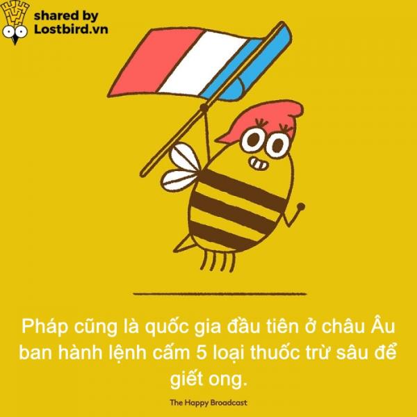 Dành cho những ai đã chán ngấy scandal, đây là những tin vui đáng đọc nhất của năm 2018 (P2) Dành cho những ai đã chán ngấy scandal, đây là những tin vui đáng đọc nhất của năm 2018 (P2)