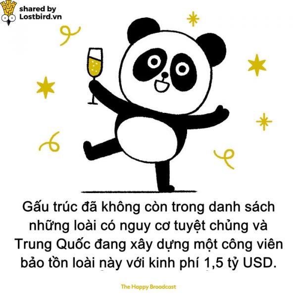 Dành cho những ai đã chán ngấy scandal, đây là những tin vui đáng đọc nhất của năm 2018 (P2) Dành cho những ai đã chán ngấy scandal, đây là những tin vui đáng đọc nhất của năm 2018 (P2)
