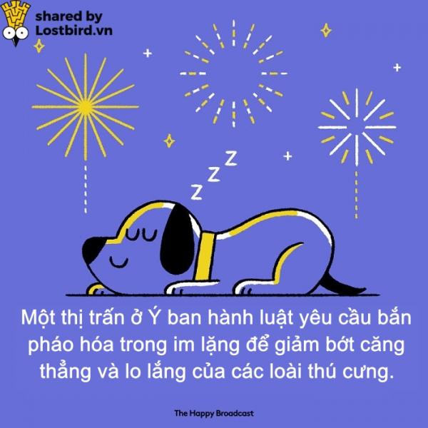 Dành cho những ai đã chán ngấy scandal, đây là những tin vui đáng đọc nhất của năm 2018 (P2) Dành cho những ai đã chán ngấy scandal, đây là những tin vui đáng đọc nhất của năm 2018 (P2)