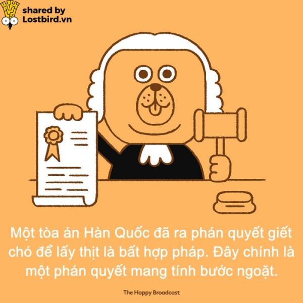Dành cho những ai đã chán ngấy scandal, đây là những tin vui đáng đọc nhất của năm 2018 (P2) Dành cho những ai đã chán ngấy scandal, đây là những tin vui đáng đọc nhất của năm 2018 (P2)
