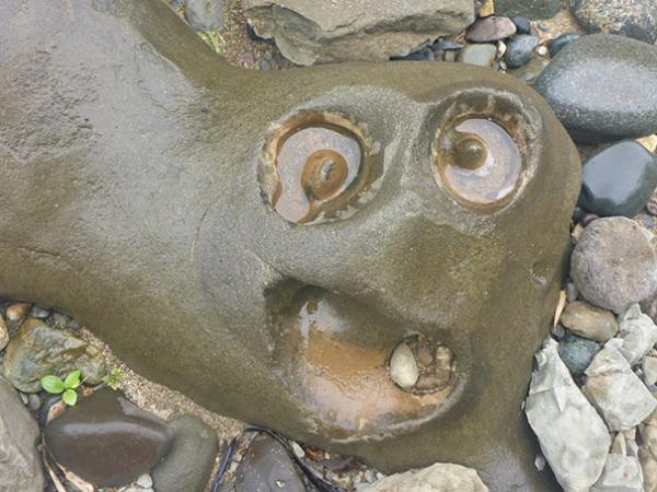 Những lần con người gặp phải ảo giác Pareidolia từ nơi không ngờ tới Những lần con người gặp phải ảo giác Pareidolia từ nơi không ngờ tới