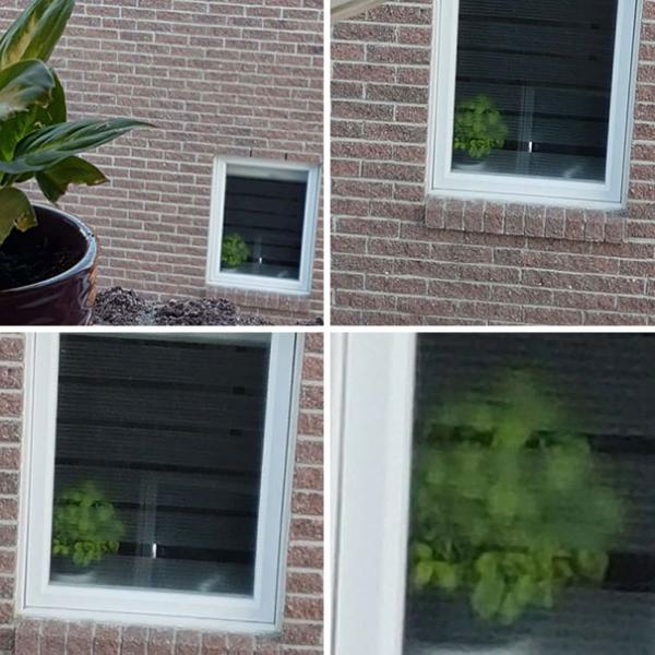 Những lần con người gặp phải ảo giác Pareidolia từ nơi không ngờ tới Những lần con người gặp phải ảo giác Pareidolia từ nơi không ngờ tới