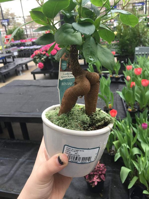Những lần con người gặp phải ảo giác Pareidolia từ nơi không ngờ tới Những lần con người gặp phải ảo giác Pareidolia từ nơi không ngờ tới