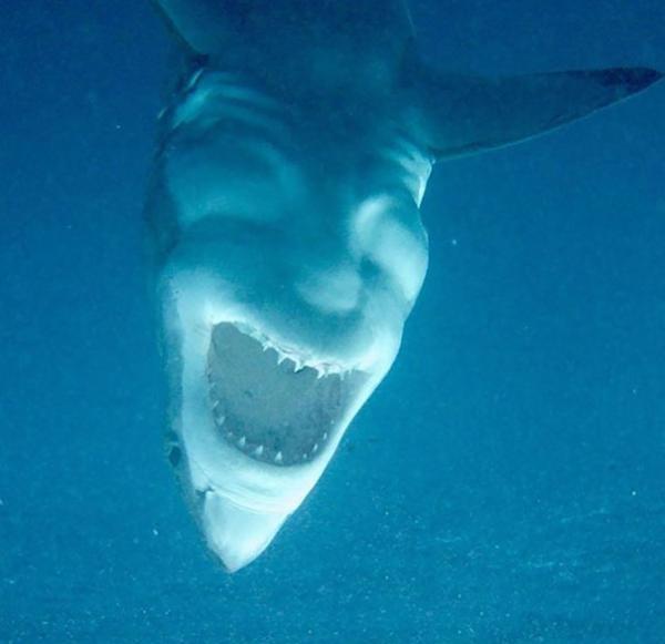 Những lần con người gặp phải ảo giác Pareidolia từ nơi không ngờ tới Những lần con người gặp phải ảo giác Pareidolia từ nơi không ngờ tới
