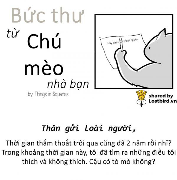 Hãy xem loài mèo trịch thượng và vô lý thế nào trong bức tâm thư chúng gửi cho ta Hãy xem loài mèo trịch thượng và vô lý thế nào trong bức tâm thư chúng gửi cho ta