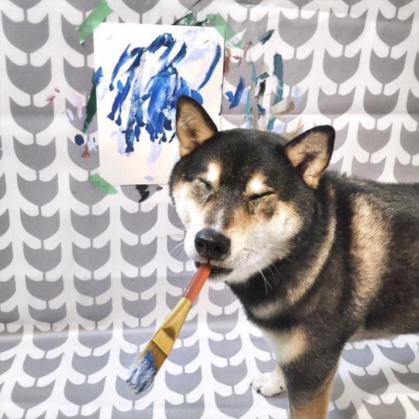 Chú chó Shiba được chủ dạy vẽ tranh bán với tổng trị giá hơn một trăm triệu đồng Chú chó Shiba được chủ dạy vẽ tranh bán với tổng trị giá hơn một trăm triệu đồng