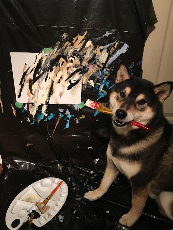 Chú chó Shiba được chủ dạy vẽ tranh bán với tổng trị giá hơn một trăm triệu đồng Chú chó Shiba được chủ dạy vẽ tranh bán với tổng trị giá hơn một trăm triệu đồng