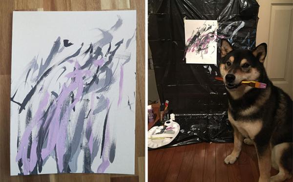 Chú chó Shiba được chủ dạy vẽ tranh bán với tổng trị giá hơn một trăm triệu đồng Chú chó Shiba được chủ dạy vẽ tranh bán với tổng trị giá hơn một trăm triệu đồng