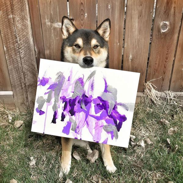 Chú chó Shiba được chủ dạy vẽ tranh bán với tổng trị giá hơn một trăm triệu đồng Chú chó Shiba được chủ dạy vẽ tranh bán với tổng trị giá hơn một trăm triệu đồng