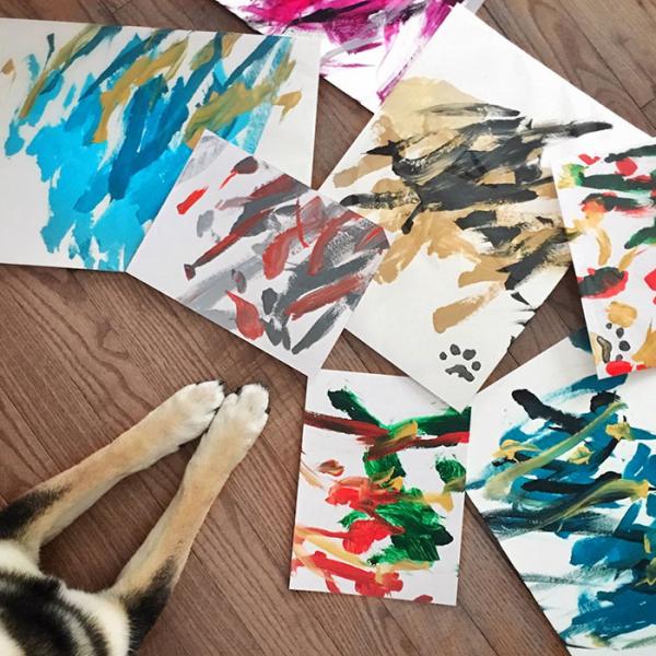 Chú chó Shiba được chủ dạy vẽ tranh bán với tổng trị giá hơn một trăm triệu đồng Chú chó Shiba được chủ dạy vẽ tranh bán với tổng trị giá hơn một trăm triệu đồng