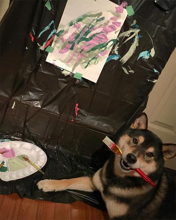 Chú chó Shiba được chủ dạy vẽ tranh bán với tổng trị giá hơn một trăm triệu đồng Chú chó Shiba được chủ dạy vẽ tranh bán với tổng trị giá hơn một trăm triệu đồng