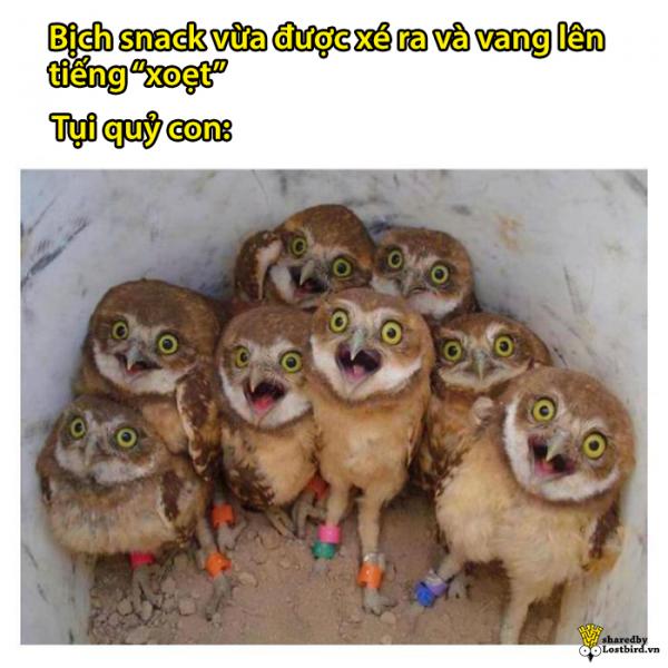 Hội các bà mẹ bỉm sữa và trăm ngàn nỗi khổ tâm chẳng biết kể ai nghe Hội các bà mẹ bỉm sữa và trăm ngàn nỗi khổ tâm chẳng biết kể ai nghe