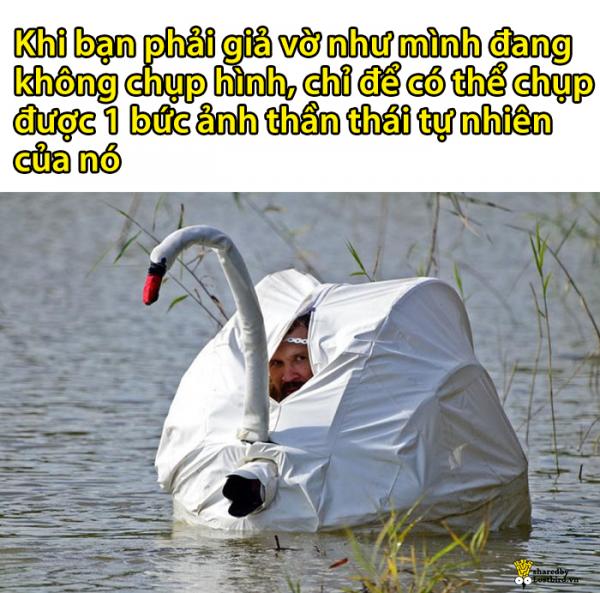 Hội các bà mẹ bỉm sữa và trăm ngàn nỗi khổ tâm chẳng biết kể ai nghe Hội các bà mẹ bỉm sữa và trăm ngàn nỗi khổ tâm chẳng biết kể ai nghe