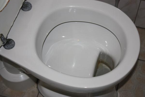 Thời đại hội nhập rồi, nhớ tìm hiểu cấu trúc toilet các nước để còn biết mà dùng cho đúng Thời đại hội nhập rồi, nhớ tìm hiểu cấu trúc toilet các nước để còn biết mà dùng cho đúng