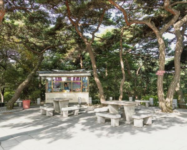Ngắm miền quê Triều Tiên yên bình đến lạ trên chuyến tàu đi dọc đất nước bí ẩn nhất thế giới Ngắm miền quê Triều Tiên yên bình đến lạ trên chuyến tàu đi dọc đất nước bí ẩn nhất thế giới