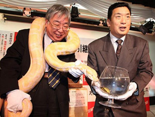 Vui cả năm khi xem biểu cảm hài hước của động vật trong lễ bàn giao 12 con giáp ở Nhật Bản Vui cả năm khi xem biểu cảm hài hước của động vật trong lễ bàn giao 12 con giáp ở Nhật Bản