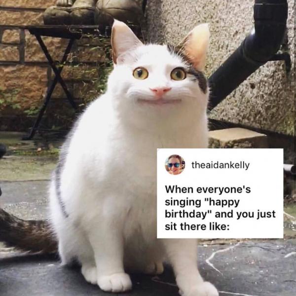 Sự thật đằng sau meme 'Nụ cười thân thiện' của chú mèo đang gây bão mạng xã hội Sự thật đằng sau meme 'Nụ cười thân thiện' của chú mèo đang gây bão mạng xã hội