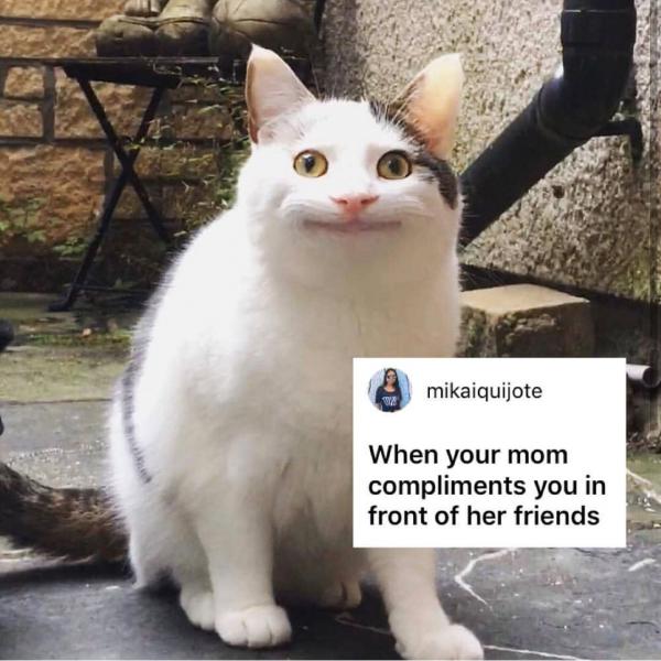 Sự thật đằng sau meme 'Nụ cười thân thiện' của chú mèo đang gây bão mạng xã hội Sự thật đằng sau meme 'Nụ cười thân thiện' của chú mèo đang gây bão mạng xã hội