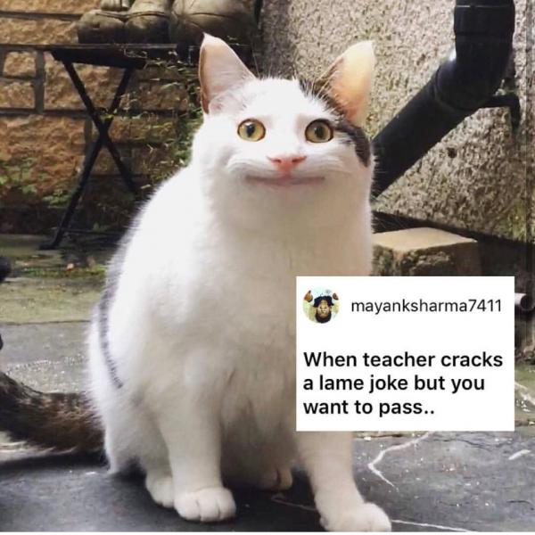 Sự thật đằng sau meme 'Nụ cười thân thiện' của chú mèo đang gây bão mạng xã hội Sự thật đằng sau meme 'Nụ cười thân thiện' của chú mèo đang gây bão mạng xã hội