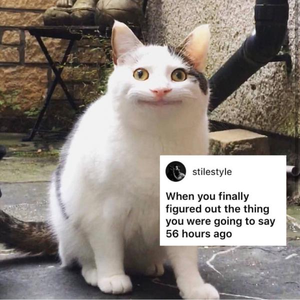 Sự thật đằng sau meme 'Nụ cười thân thiện' của chú mèo đang gây bão mạng xã hội Sự thật đằng sau meme 'Nụ cười thân thiện' của chú mèo đang gây bão mạng xã hội