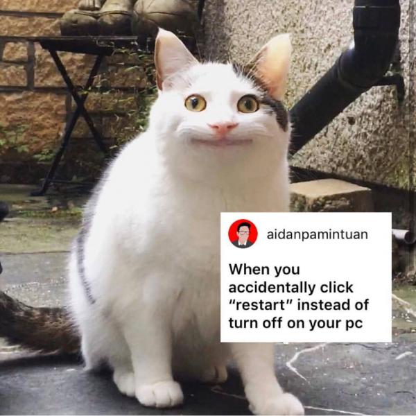 Sự thật đằng sau meme 'Nụ cười thân thiện' của chú mèo đang gây bão mạng xã hội Sự thật đằng sau meme 'Nụ cười thân thiện' của chú mèo đang gây bão mạng xã hội