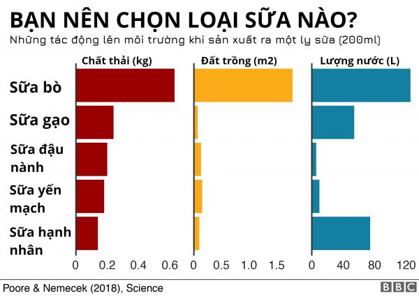 Khoa học vui: Loại sữa hạt nào giúp bảo vệ môi trường? Khoa học vui: Loại sữa hạt nào giúp bảo vệ môi trường?