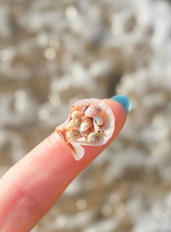 Bạn có thể nhặt được những 'kho báu' gì trên bãi biển? Bạn có thể nhặt được những 'kho báu' gì trên bãi biển?