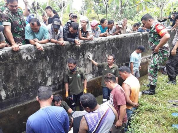 Cá sấu nhảy lên bờ tường kéo nhà khoa học xuống rồi ăn thịt Cá sấu nhảy lên bờ tường kéo nhà khoa học xuống rồi ăn thịt