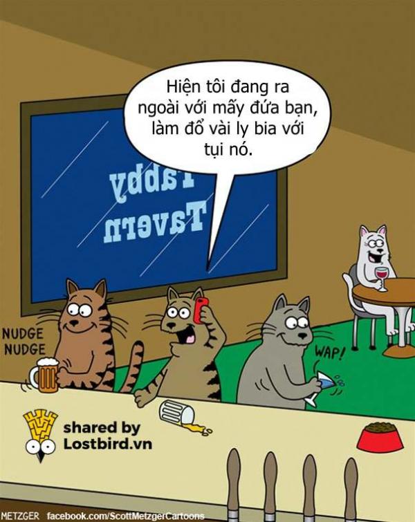 Loạt tác phẩm đỉnh cao của người hoạ sĩ dành 20 năm vẽ truyện tranh về MÈO Loạt tác phẩm đỉnh cao của người hoạ sĩ dành 20 năm vẽ truyện tranh về MÈO