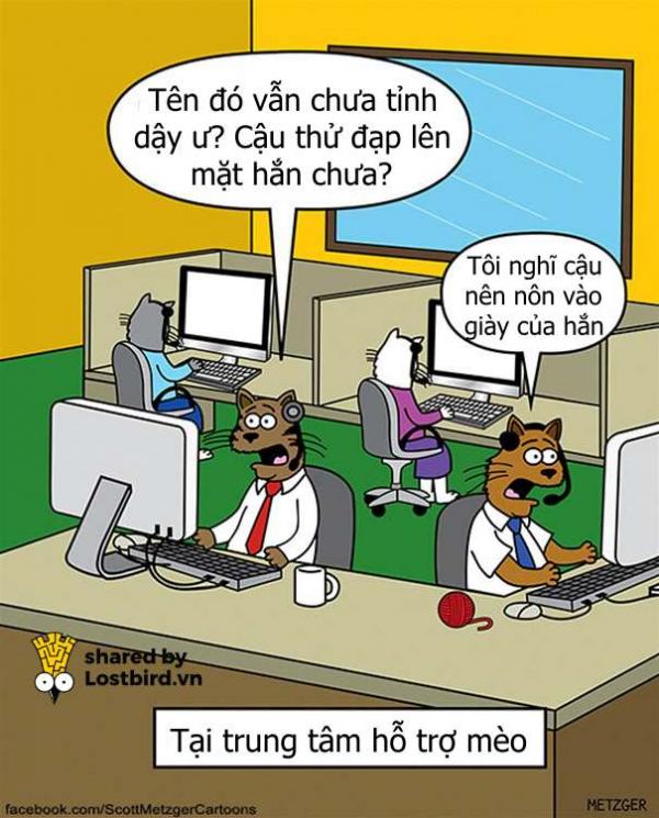 Loạt tác phẩm đỉnh cao của người hoạ sĩ dành 20 năm vẽ truyện tranh về MÈO Loạt tác phẩm đỉnh cao của người hoạ sĩ dành 20 năm vẽ truyện tranh về MÈO