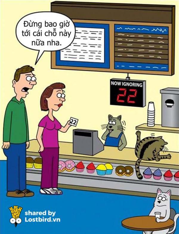 Loạt tác phẩm đỉnh cao của người hoạ sĩ dành 20 năm vẽ truyện tranh về MÈO Loạt tác phẩm đỉnh cao của người hoạ sĩ dành 20 năm vẽ truyện tranh về MÈO