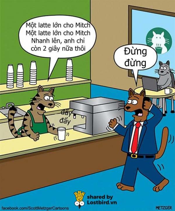 Loạt tác phẩm đỉnh cao của người hoạ sĩ dành 20 năm vẽ truyện tranh về MÈO Loạt tác phẩm đỉnh cao của người hoạ sĩ dành 20 năm vẽ truyện tranh về MÈO